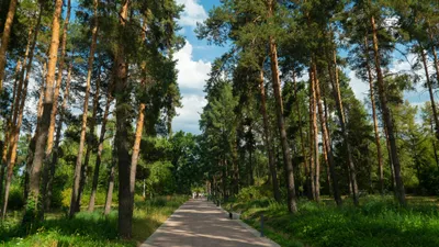 Ботанический сад в Алматы, Алматинский ботанический сад, Алматы, город Алматы, ботсад, фото - Новости Zakon.kz от 03.04.2026 16:08