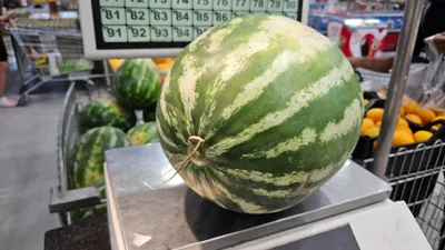 , фото - Новости Zakon.kz от 15.08.2025 14:16