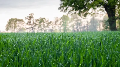 прогноз погоды летом, фото - Новости Zakon.kz от 28.06.2025 15:54