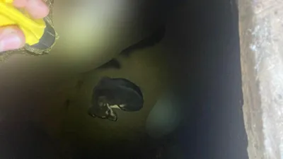 помощь спасателей, фото - Новости Zakon.kz от 29.06.2025 00:18