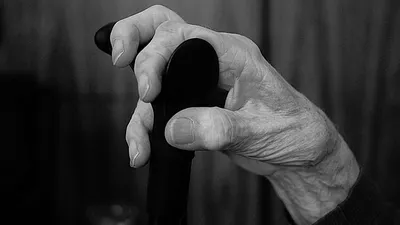 исследование ученые, фото - Новости Zakon.kz от 30.06.2025 01:12