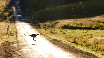 , фото - Новости Zakon.kz от 29.08.2025 13:47