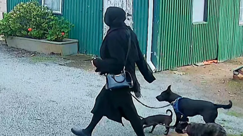 "Нашли обезглавленным": звезду реалити-шоу обвиняют в убийстве бойфренда