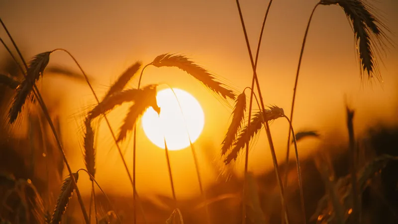 Жара накроет Астану, Алматы и Шымкент: прогноз погоды на 1, 2 и 3 июля