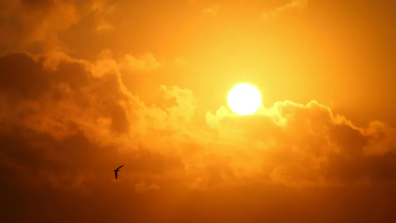 Макушка лета: народные традиции и приметы на 1 июля