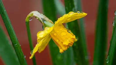 Сильные дожди со шквалистым ветром и град: "Казгидромет" опубликовал прогноз на 1 июля, фото - Новости Zakon.kz от 30.06.2025 18:01