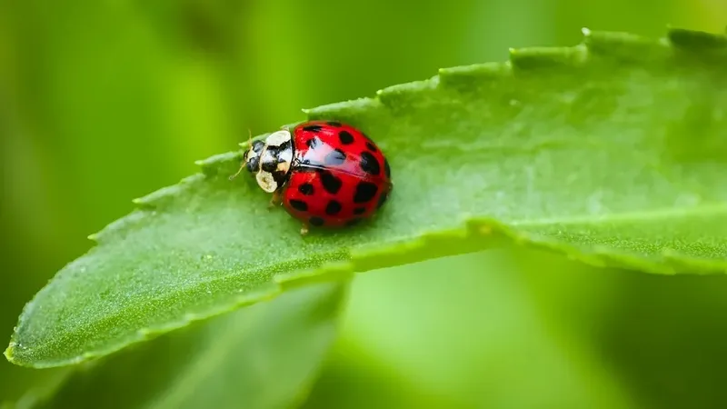 Гороскоп на последний день июня: не перегружайте себя