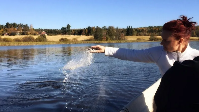 В крематории Мексики нашли 380 тел, которые собирались сжечь два года назад