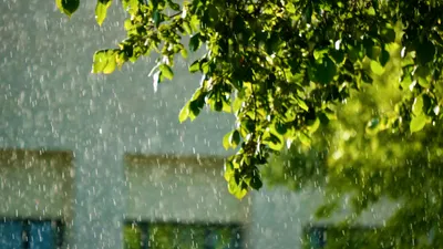 Дожди обрушатся на Казахстан, фото - Новости Zakon.kz от 01.07.2025 17:48