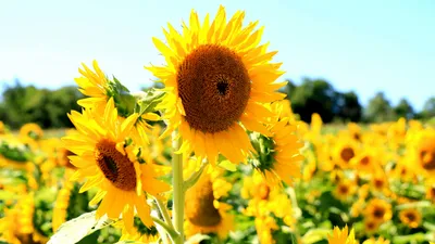 , фото - Новости Zakon.kz от 02.07.2025 09:59