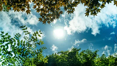 , фото - Новости Zakon.kz от 01.07.2025 17:48