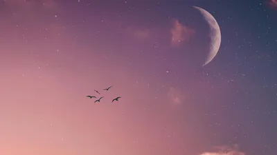 Луна, фазы, отношения, астрология, эмоции, фото - Новости Zakon.kz от 01.07.2025 13:46