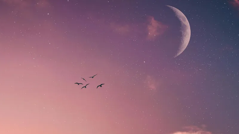 Какие дни июля принесут успех, а какие – лучше пропустить