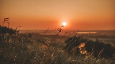 , фото - Новости Zakon.kz от 02.07.2025 11:19