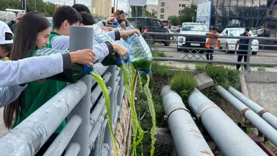 Экоакция по очистке ручья, фото - Новости Zakon.kz от 24.06.2025 15:00
