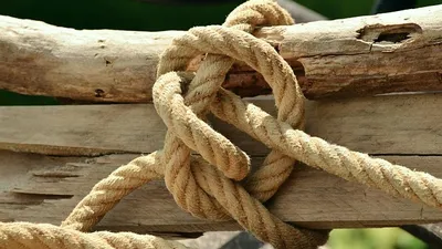 во Франции похитили и пытали владельца узбекского банка, фото - Новости Zakon.kz от 04.07.2025 00:41