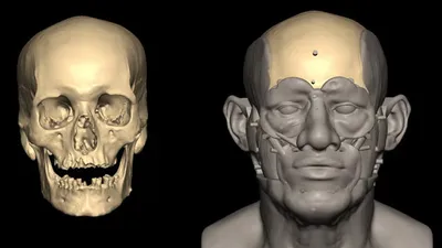 Человек, археология, находка, фото - Новости Zakon.kz от 03.07.2025 08:02