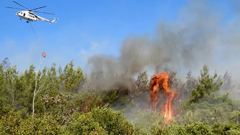 Анталия горит, лесные пожары подступили к Стамбулу