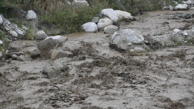 Қазақстанда сел қауіпсіздігін күшейту және алдын алу жүйесін жетілдіру ұсынылды