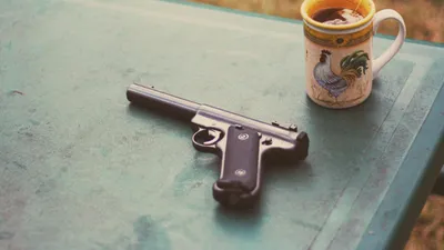 МВД, правила, продажа, Казахстан, оружие, фото - Новости Zakon.kz от 03.07.2025 10:03