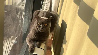 , фото - Новости Zakon.kz от 15.07.2025 14:08