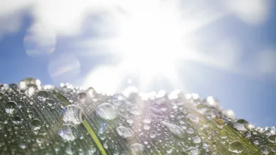 На Казахстан обрушатся аномальная жара до +46°C и ливни с грозами, фото - Новости Zakon.kz от 04.07.2025 12:23