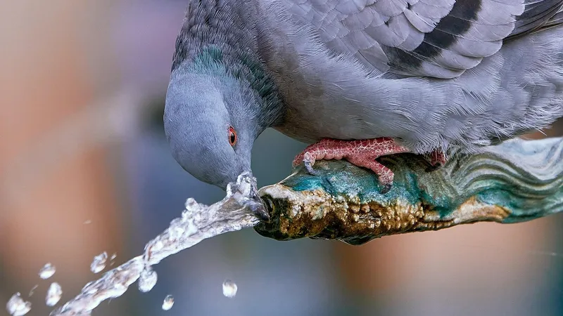 Когда отступит жара в Алматы: прогноз погоды на неделю