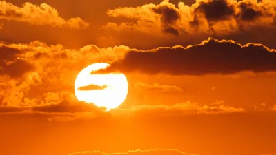 , фото - Новости Zakon.kz от 04.07.2025 18:02