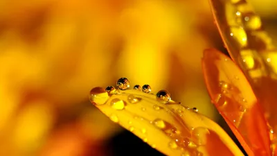 погода, Алматы, Астана, Шымкент, казгидромет, зной, фото - Новости Zakon.kz от 04.07.2025 15:54