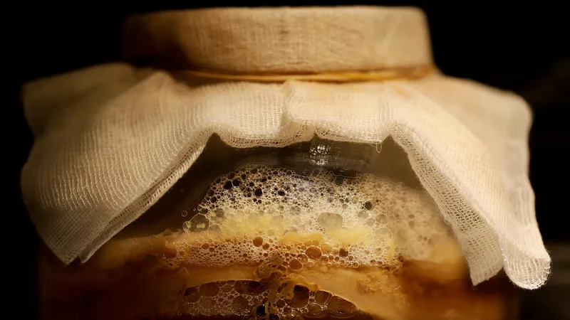 Чайный гриб возвращается: в чем его польза и когда он может навредить