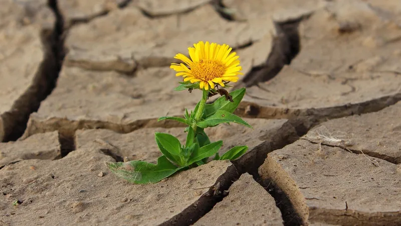 Каким регионам Казахстана не стоит надеяться на обильные дожди в июле