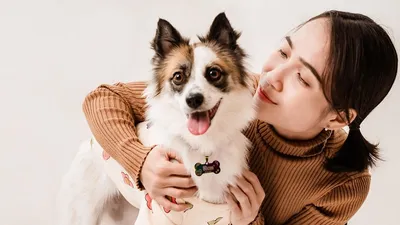 животные, собака, собака и хозяин, кинологи, фото - Новости Zakon.kz от 06.07.2025 11:07