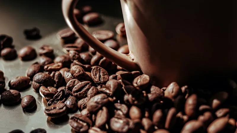 Ученые раскрыли, как кофеин замедляет старение