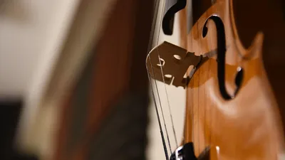 музыка, музыкальные инструменты, фото - Новости Zakon.kz от 07.07.2025 11:48