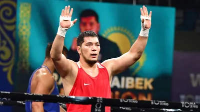 боксер, фото - Новости Zakon.kz от 07.07.2025 19:50