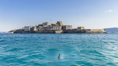 Акула, город, море, фото - Новости Zakon.kz от 09.07.2025 02:20