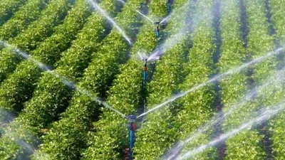 Нарушения правил пользования поливной водой выявлены в Туркестанской области, фото - Новости Zakon.kz от 08.07.2025 08:15