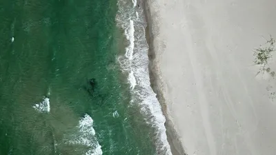 Ученые нашли необъяснимые структуры глубоко под водой, фото - Новости Zakon.kz от 09.07.2025 07:56