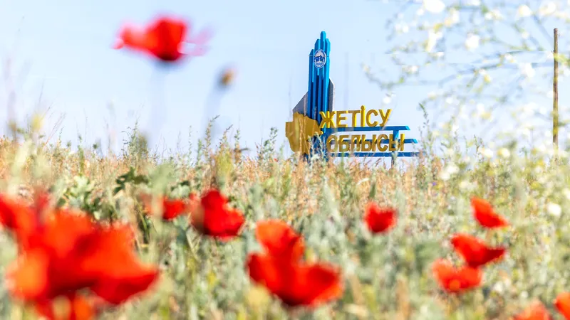 В Талдыкоргане нашли решение экологической проблемы