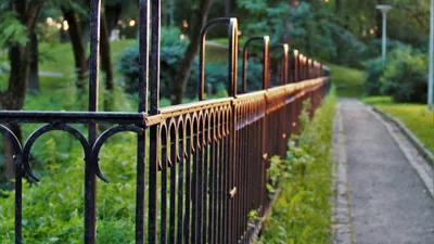 забор в парке, фото - Новости Zakon.kz от 10.07.2025 17:00