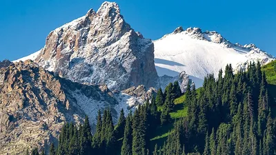 горы, Алматы, снег, июль, фотографии, фото - Новости Zakon.kz от 11.07.2025 11:44