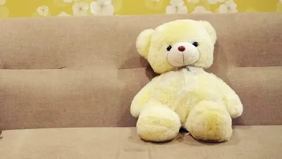 В Японии появился отель для мягких игрушек, фото - Новости Zakon.kz от 12.07.2025 05:44