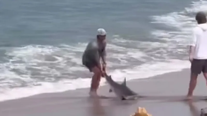 Пострадали оба: в США рыбак подрался с акулой