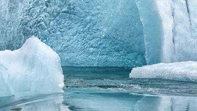 Лед, исследования, обитание, фото - Новости Zakon.kz от 13.07.2025 06:37