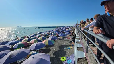 Алаколь , фото - Новости Zakon.kz от 13.07.2025 10:49