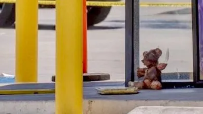 медведь из человеческой кожи шокировал американцев, фото - Новости Zakon.kz от 14.07.2025 18:50