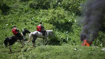 Егерь, егеря, лесничий, лесничие, фото - Новости Zakon.kz от 18.08.2025 18:32