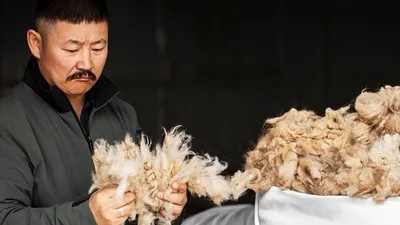 Loro Piana обвинили в эксплуатации рабочих, фото - Новости Zakon.kz от 16.07.2025 04:40