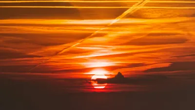 , фото - Новости Zakon.kz от 16.07.2025 11:48