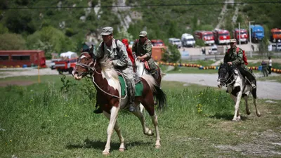 Егерь, егеря, лесничий, лесничие, фото - Новости Zakon.kz от 27.08.2025 09:42